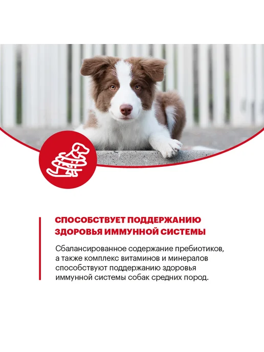 Сухой корм KARMY для собак, средние, щенки, индейка, 2 кг, фото 5