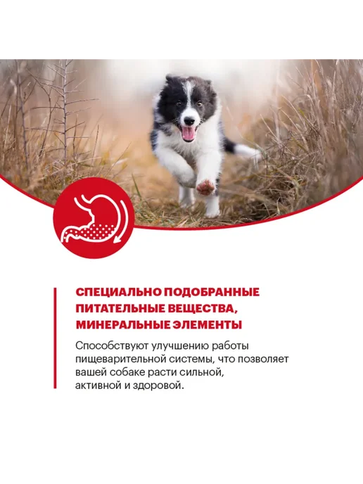 Сухой корм KARMY для собак, средние, щенки, индейка, 2 кг, фото 6