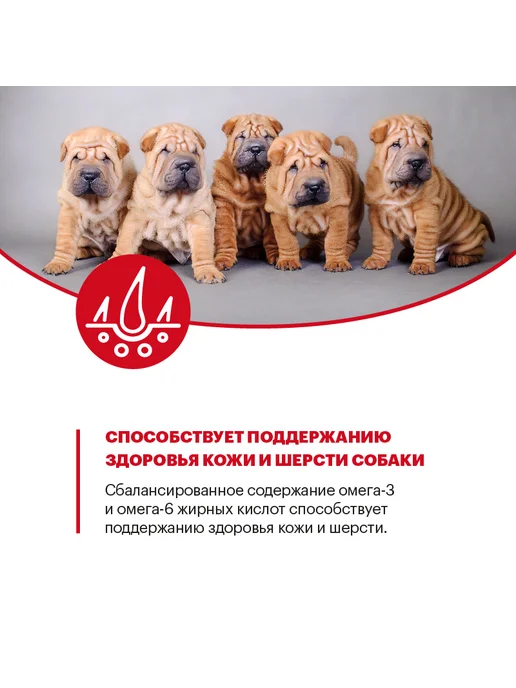 Сухой корм KARMY для собак, средние, щенки, индейка, 2 кг, фото 7