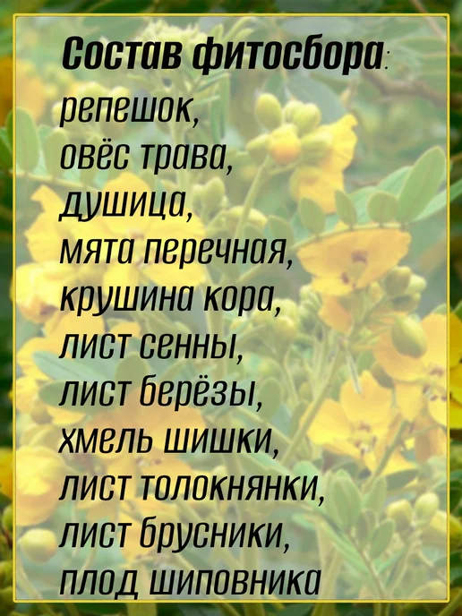 Чаи Кавказа Травы Фитнес МИКС №11, травяной сбор фиточай, вариант, фото 2