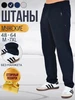 Штаны спортивные 413679248 купить за 747 ₽ в интернет‑магазине Wildberries
