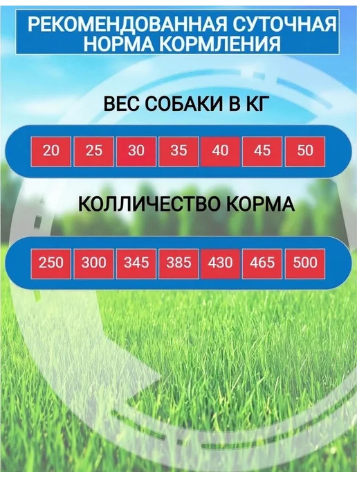 Сухой корм LAVVI для собак, ягненок, 10 кг, фото 6