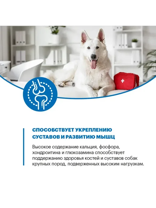 Сухой корм KARMY для собак, взрослые, крупные, телятина, 2 кг, фото 5