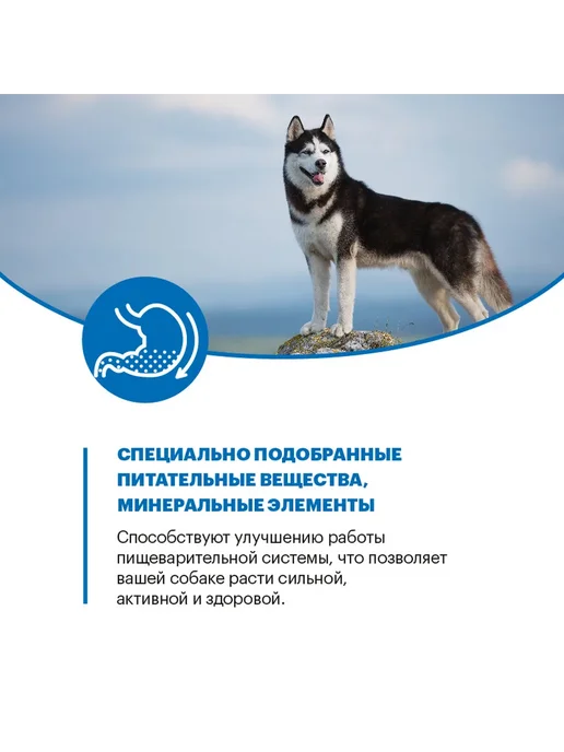 Сухой корм KARMY для собак, взрослые, крупные, телятина, 2 кг, фото 6
