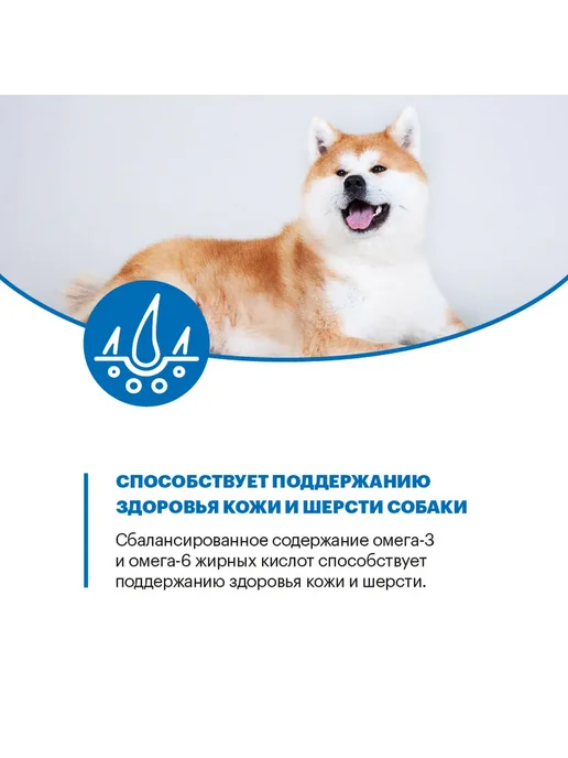 Сухой корм KARMY для собак, взрослые, крупные, телятина, 2 кг, фото 7