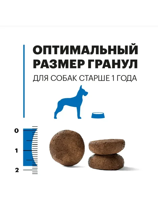 Сухой корм KARMY для собак, взрослые, крупные, телятина, 2 кг, фото 8