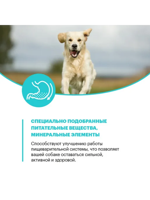 Сухой корм KARMY Hypoallergenic для собак, крупные, средние, утка, 14 кг, фото 6