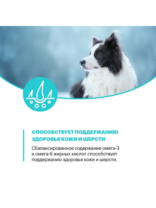 Сухой корм KARMY Hypoallergenic для собак, крупные, средние, утка, 14 кг, фото 7