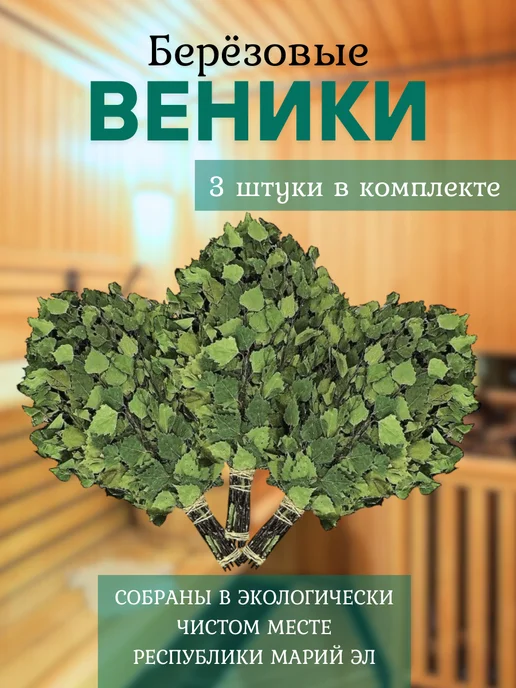 Веники берёзовые для бани и сауны д 55 ш 25, 3 шт