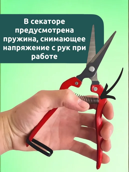 Садовый секатор ножницы ручной для цветов кустов 19см 1шт, 2 шт, фото 4