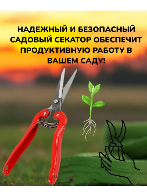 БУДЕТ! дача Садовый секатор ножницы ручной для цветов кустов 19см 1шт, 3 шт, фото 6