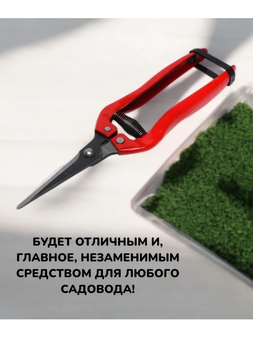 БУДЕТ! дача Садовый секатор ножницы ручной для цветов кустов 19см 1шт, 3 шт, фото 7