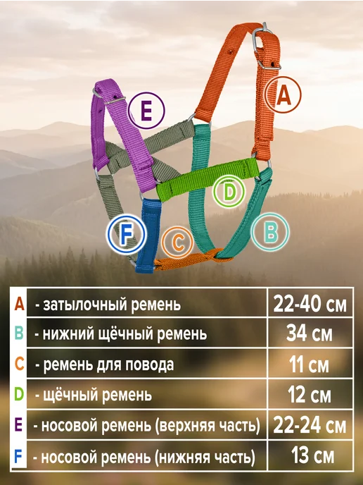 REITER Недоуздок для жеребят, двойной капрон, 25 мм, черный, фото 2