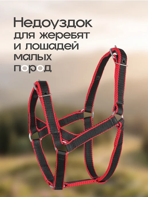 REITER Недоуздок для жеребят, двойной капрон, 25 мм, черный, фото 4