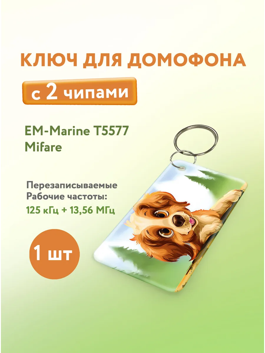 Ключ для домофона с двумя чипами, Em-Marine и Mifare, 1 шт.