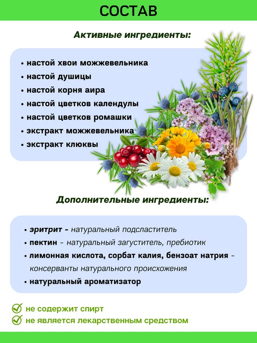 IMMUNO.SHOP Фитоконцентрат Можжевельник 120 мл, 120 мл, фото 2