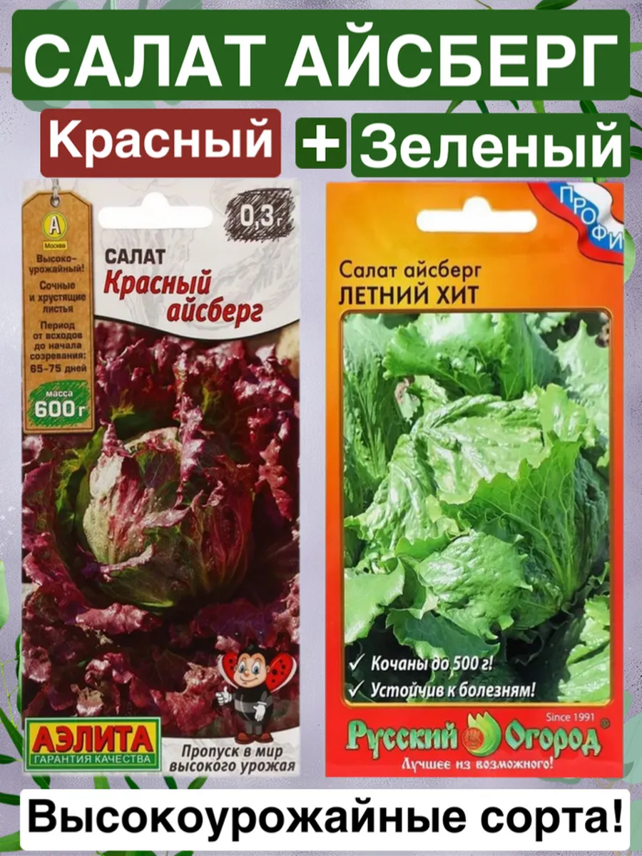 Салат Айсберг красный и зеленый