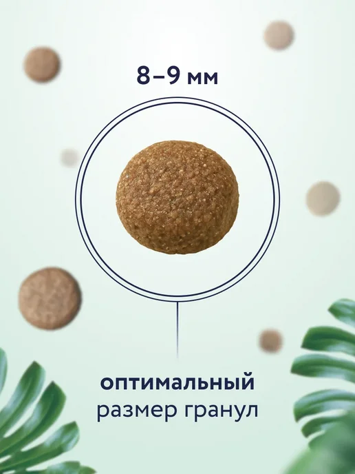 Сухой корм Florida. для собак, мелкие, ягненок, 3 кг, фото 4