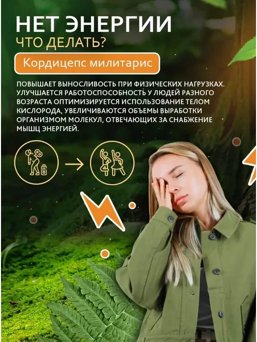 Лавка Грибника Кордицепс военный мицелий и плоды 300грамм, вариант, фото 3
