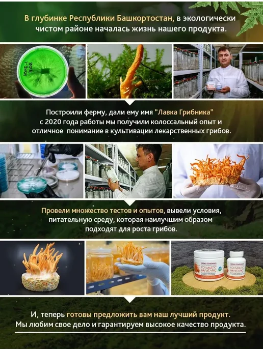 Лавка Грибника Кордицепс военный мицелий и плоды 300грамм, вариант, фото 4