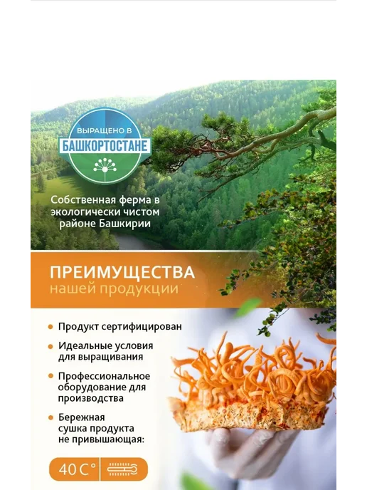Лавка Грибника Кордицепс военный мицелий и плоды 300грамм, вариант, фото 6
