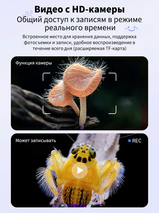 Mикроскоп детский Подарочный цифровой, фиолетовый, фото 5