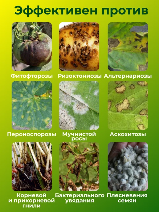 БашИнком Фитоспорин АС жидкий защита для растений Триходерма, вариант, фото 4