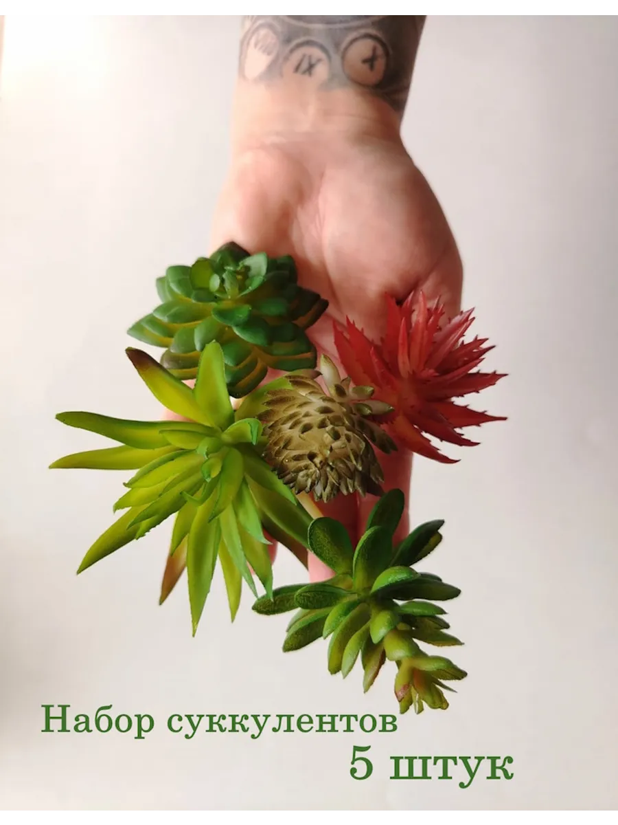 Суккуленты искусственные декор для террариума и флорариума