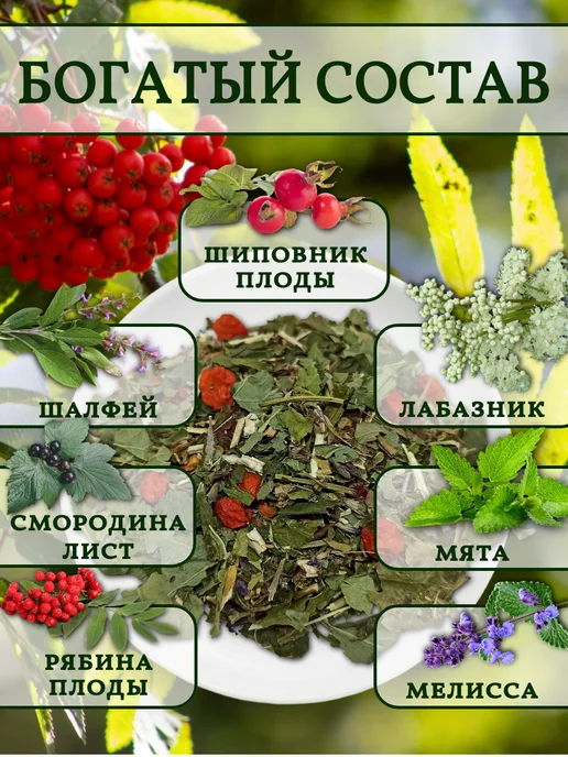 алтайрост Алтайский чай "Иммунный", 75 г, 75 г, фото 2