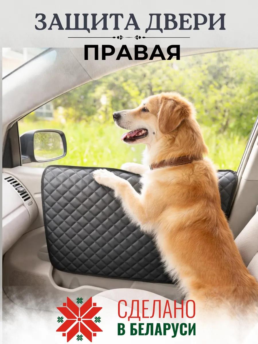 Защита двери автомобиля от собаки