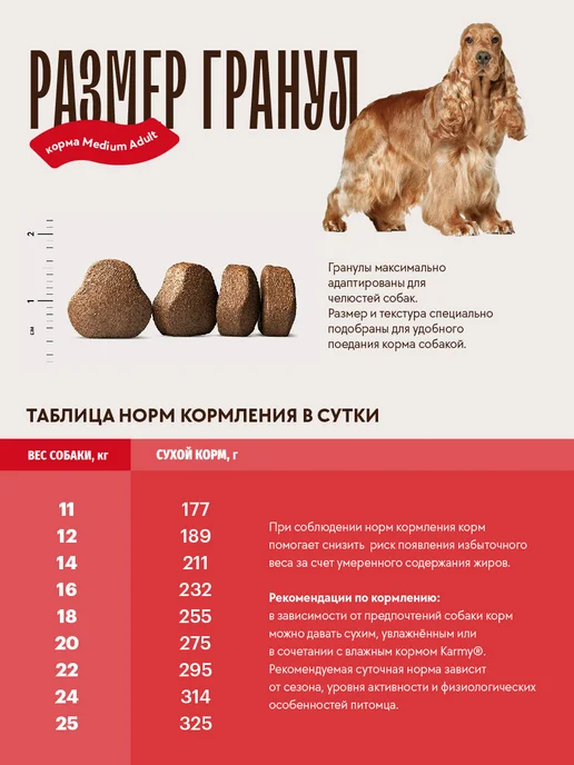 Сухой корм KARMY для собак, взрослые, средние, телятина, 2 кг, фото 5