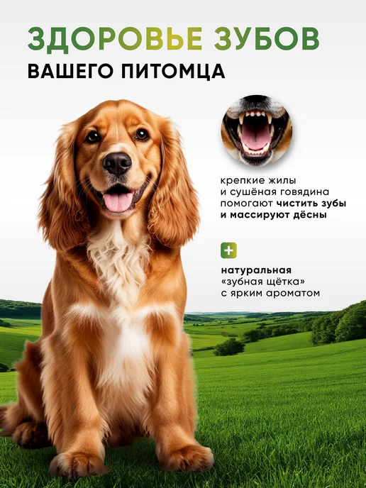 Top Lap Игрушка для собак натуральная - говяжья кость, вариант, фото 3