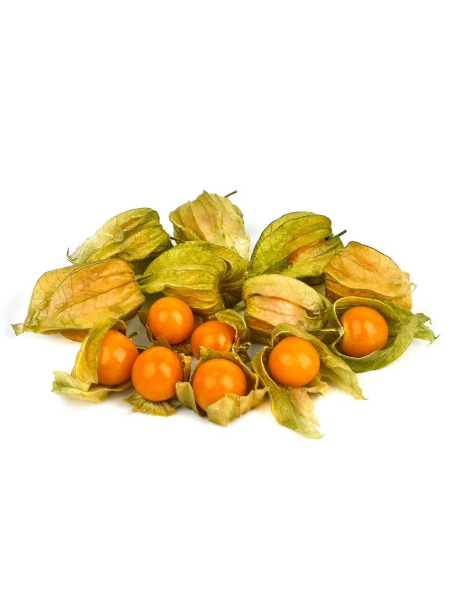 Физалис Eco