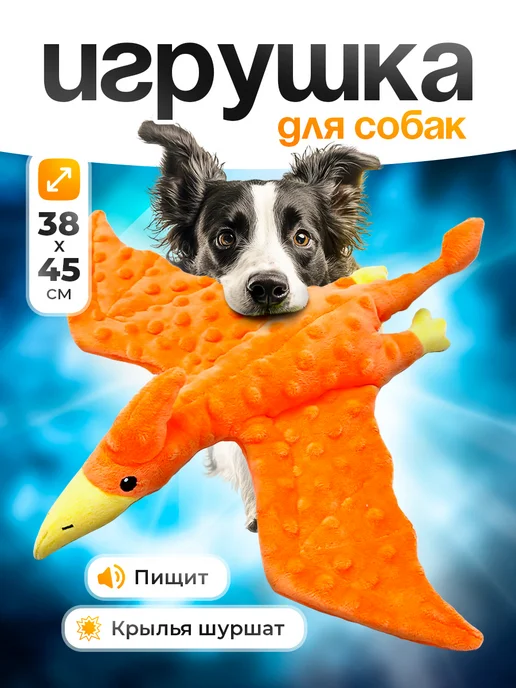 Lili Pets Игрушка для собак Птеродактиль, черный