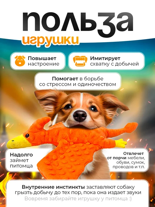 Lili Pets Игрушка для собак Птеродактиль, черный, фото 5
