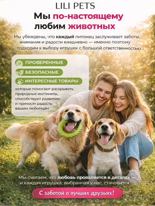 Lili Pets Игрушка для собак Птеродактиль, черный, фото 6