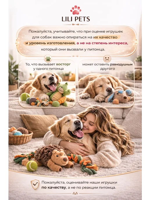 Lili Pets Игрушка для собак Птеродактиль, черный, фото 7
