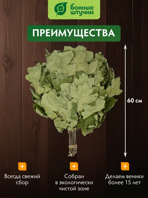 Банные Штучки Веник канадский дуб "Богатырь", вариант, фото 5