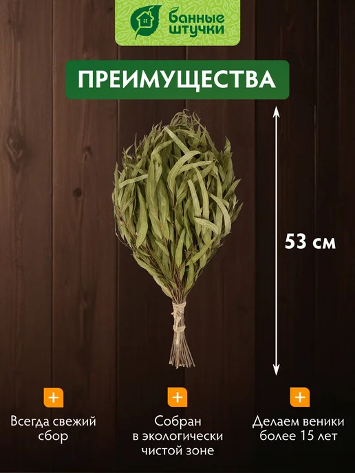 Банные Штучки Веник для бани и сауны эвкалиптовый, вариант, фото 5