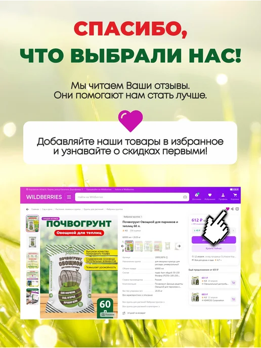 Prosept Interior-антисептик для внутренних работ Концентрат 1 10 5л, 5 л, фото 2