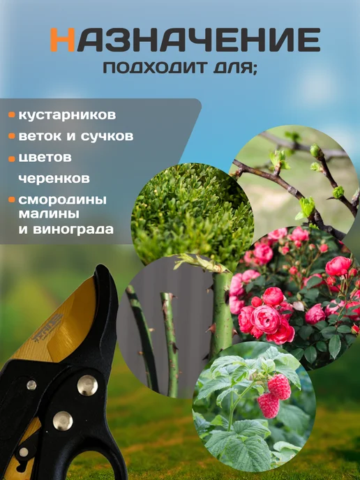 Строич Секатор Afixs с храповым механизмом, черный, фото 4