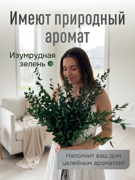 Mara mix Эвкалипт стабилизированный сухоцвет, зеленый, фото 2