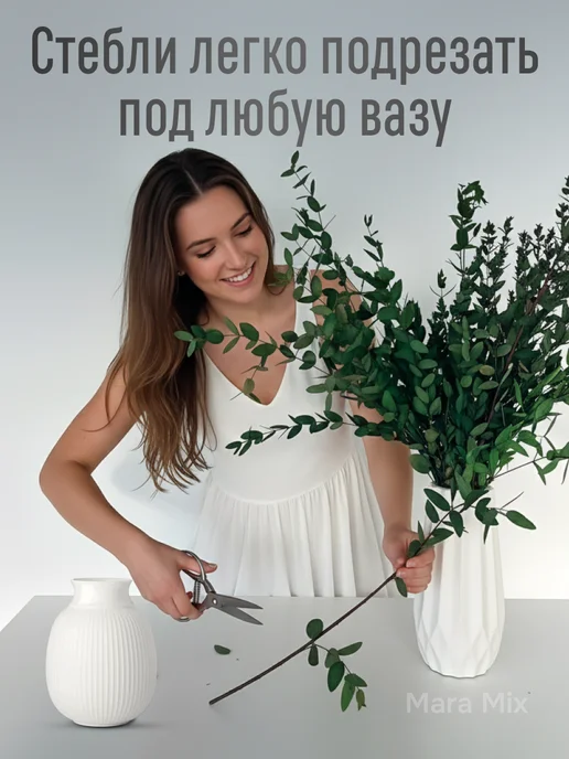 Mara mix Эвкалипт стабилизированный сухоцвет, зеленый, фото 4