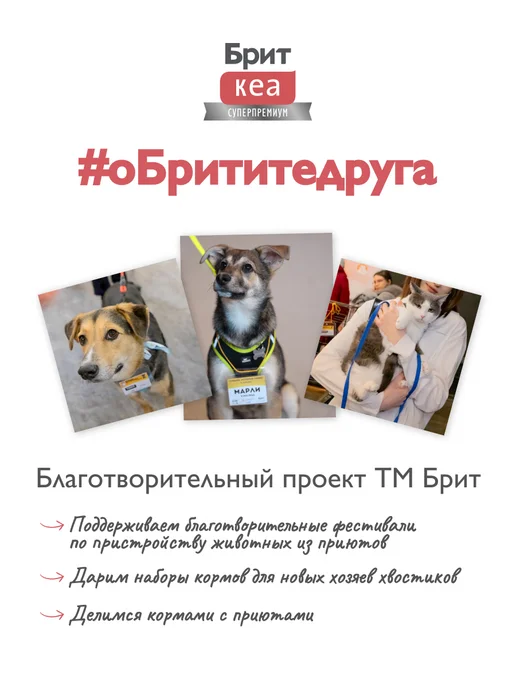 Брит кеа суперпремиум Корм для кошек влажный, индейка и лосось, 12 шт. по 75 г, 12 шт, 75 г, фото 7