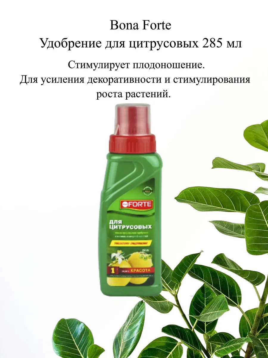 Удобрение Красота для Цитрусовых растений 285 мл