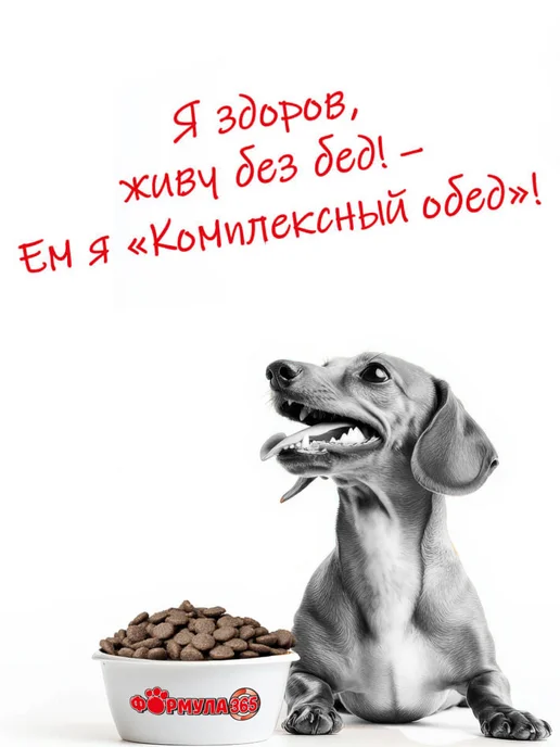 Сухой корм Формула 365 для собак, крупные, средние, мясо, 2 кг, фото 7