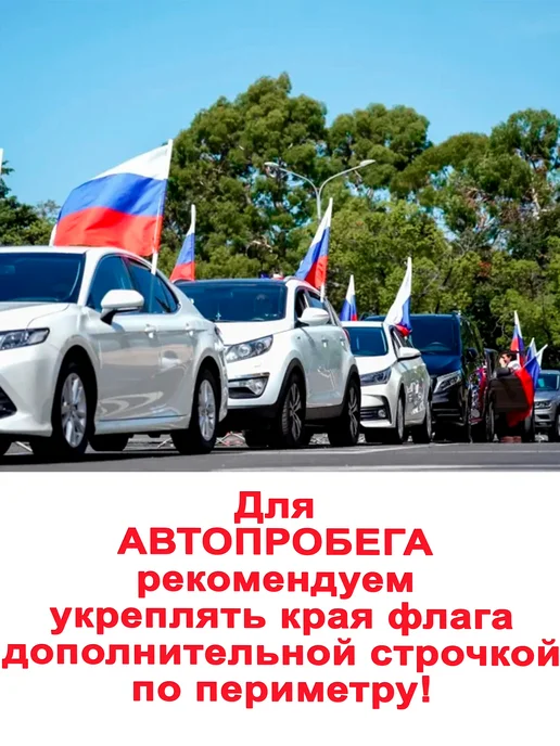Флаж.ОК Флаг Мотострелковых войск большой, вариант, фото 4
