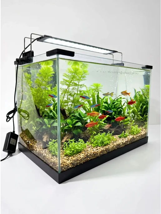 FISH TANK professional Светильник для растений, черный, фото 3