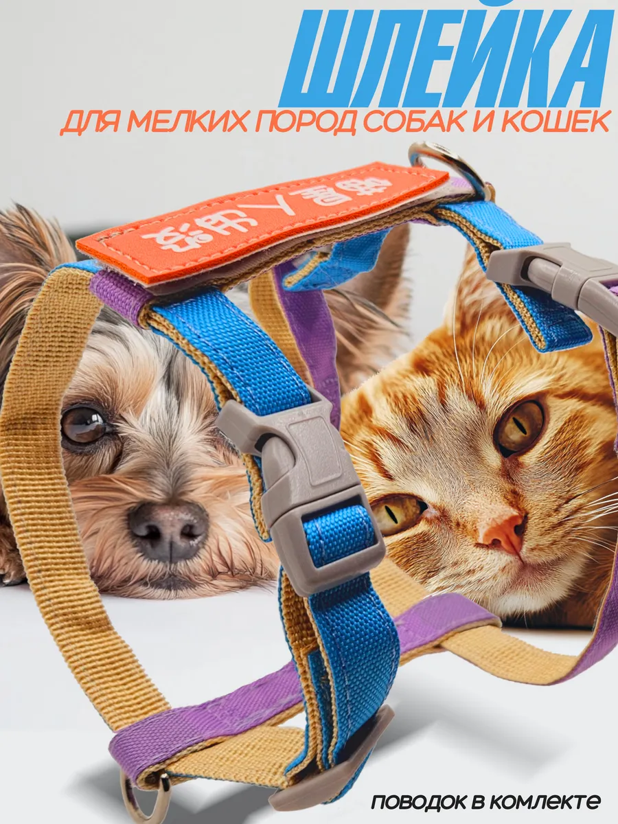 Шлейка для собак мелких средних пород и кошек с поводком