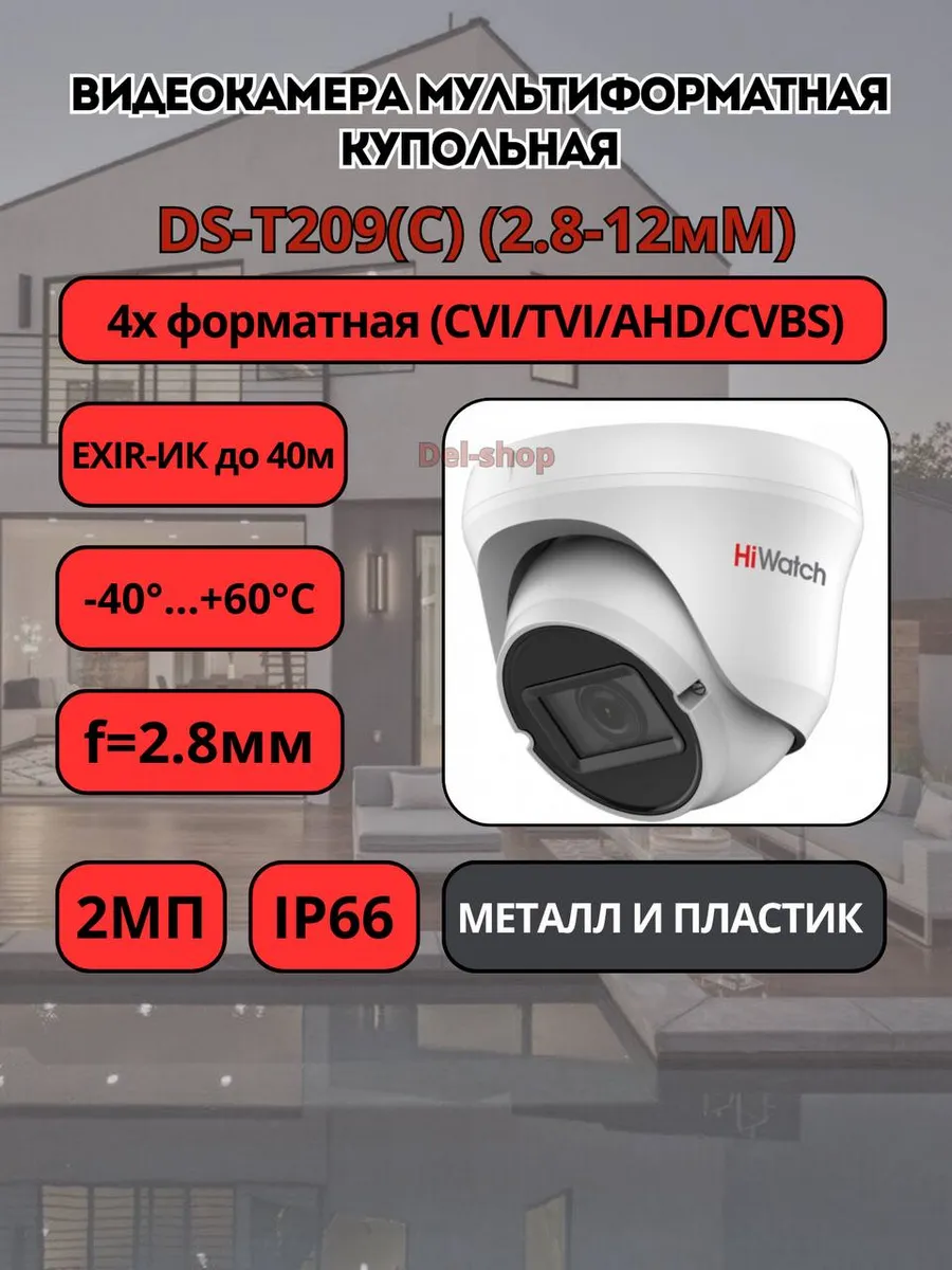 DS-T209(С) (2.8-12мм)